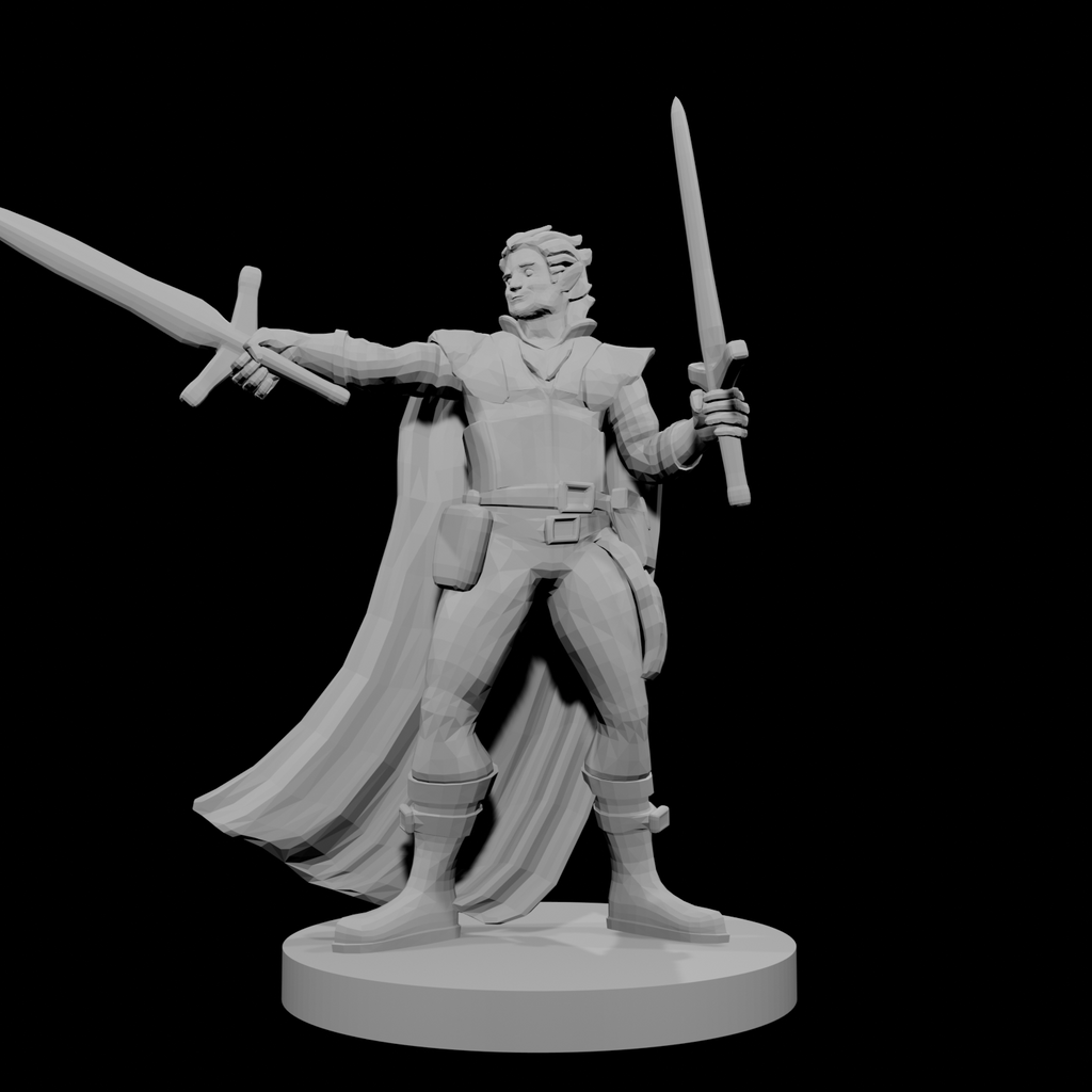 Half Elf Two Weapon Fighter