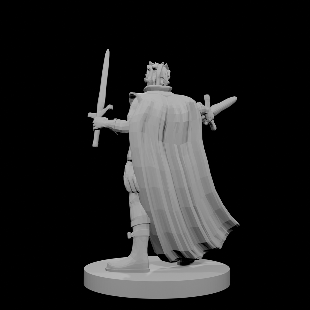 Half Elf Two Weapon Fighter
