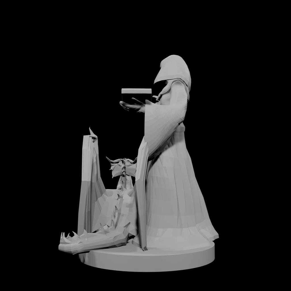 Half Elf Warlock and Dragon