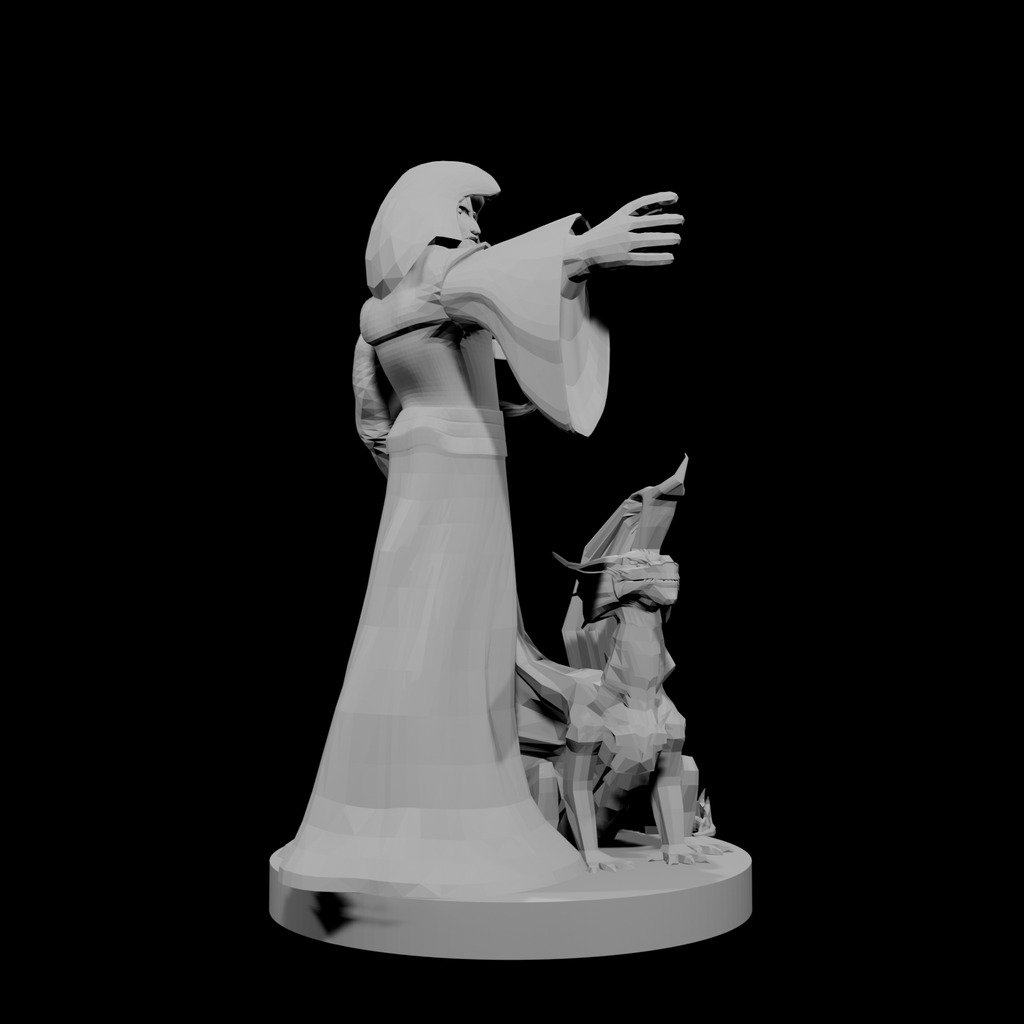 Half Elf Warlock and Dragon