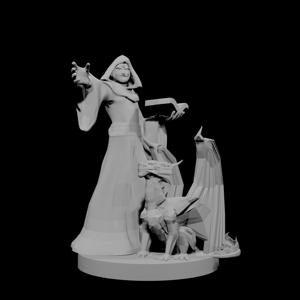 Half Elf Warlock and Dragon