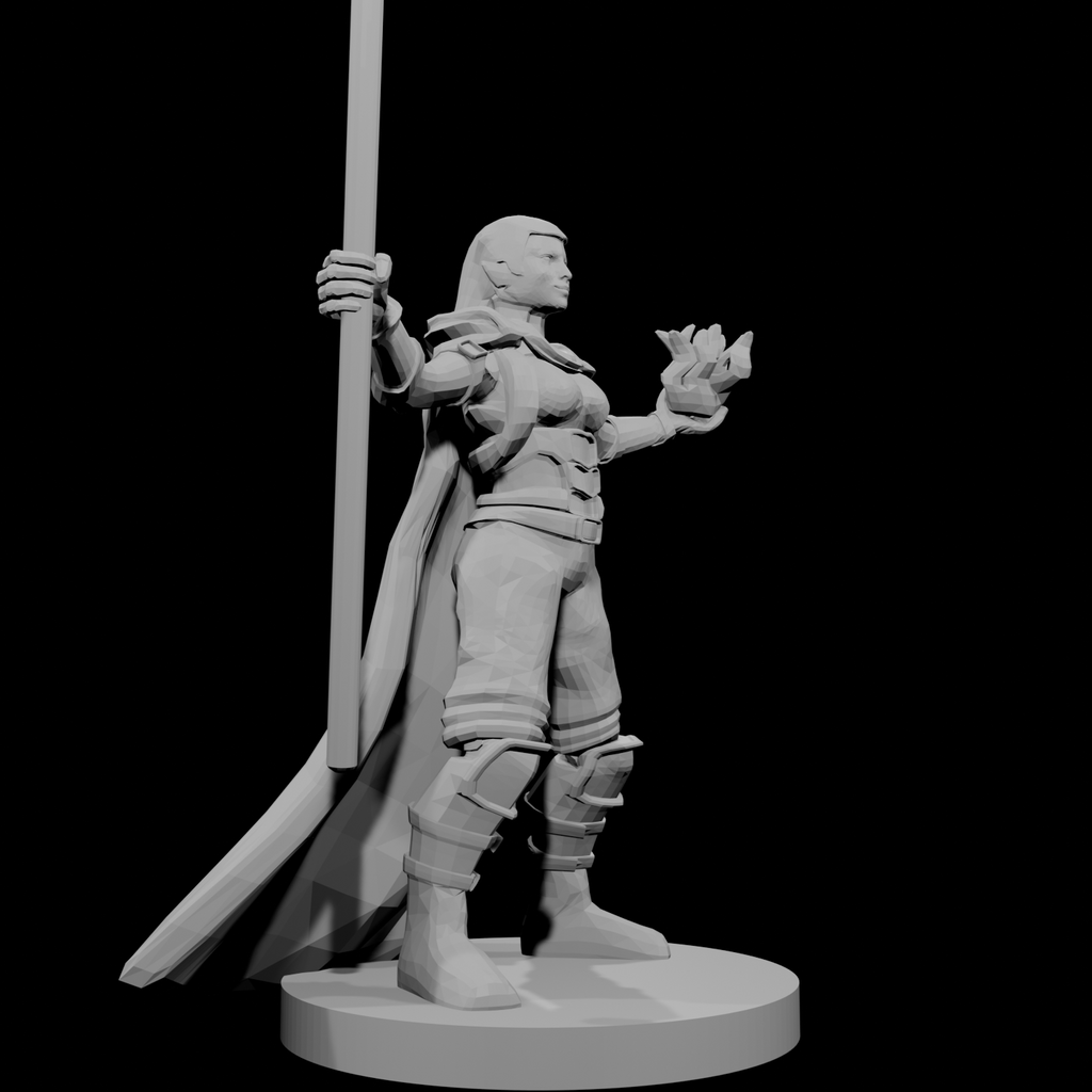Half Elf Warlock 2