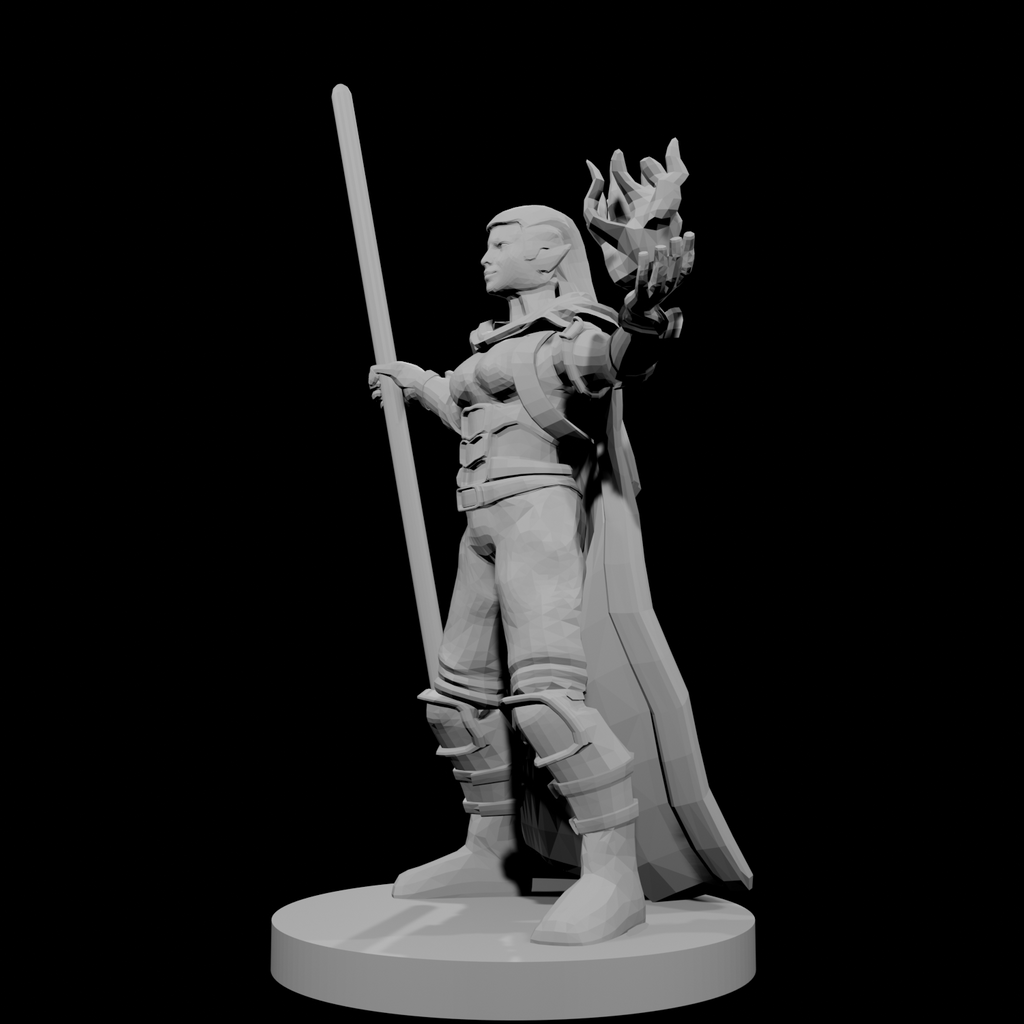 Half Elf Warlock 2