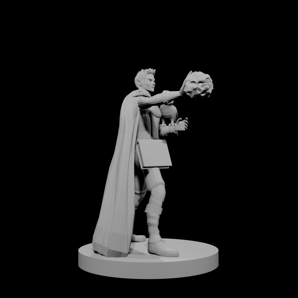 Half Elf Warlock 3