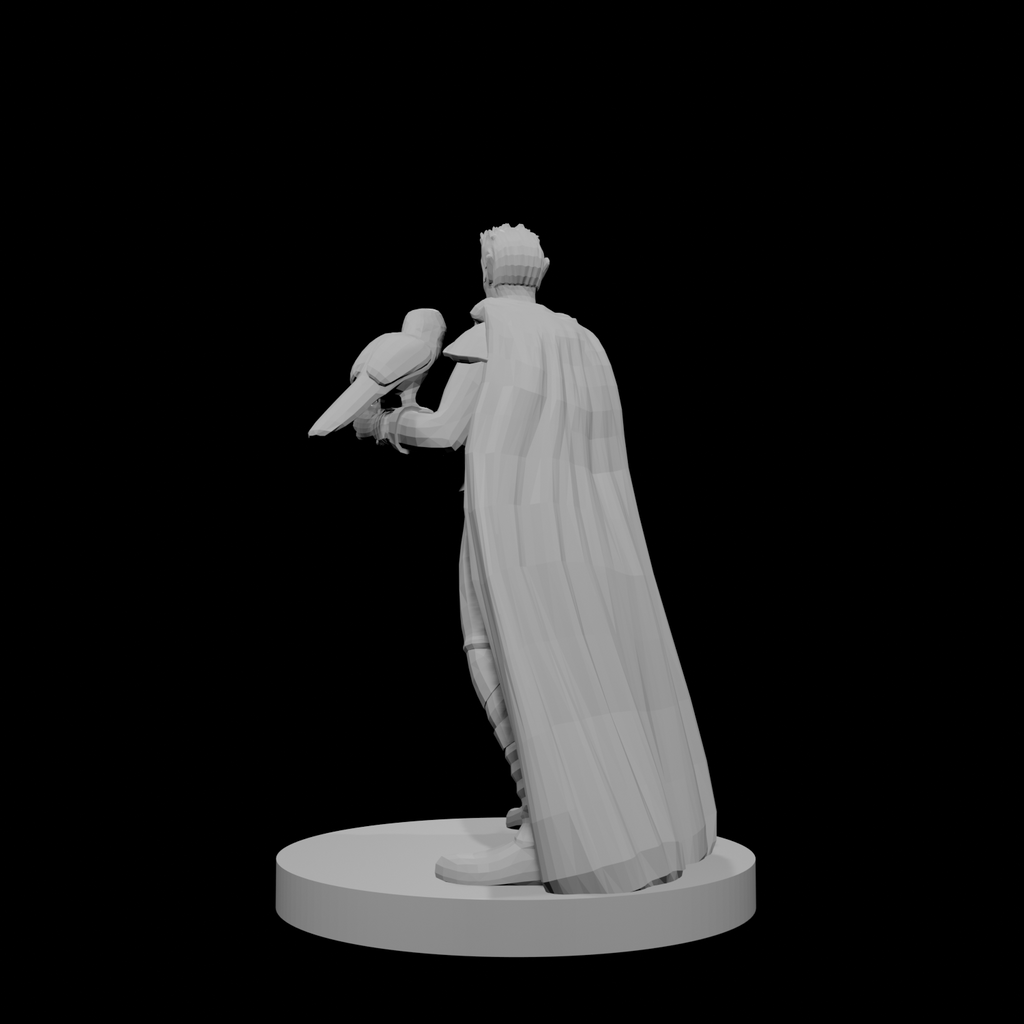 Half Elf Warlock 3