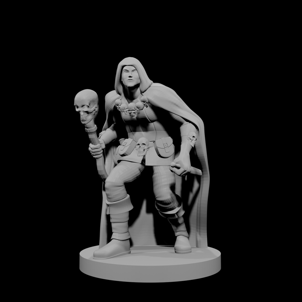 Half Elf Warlock 4