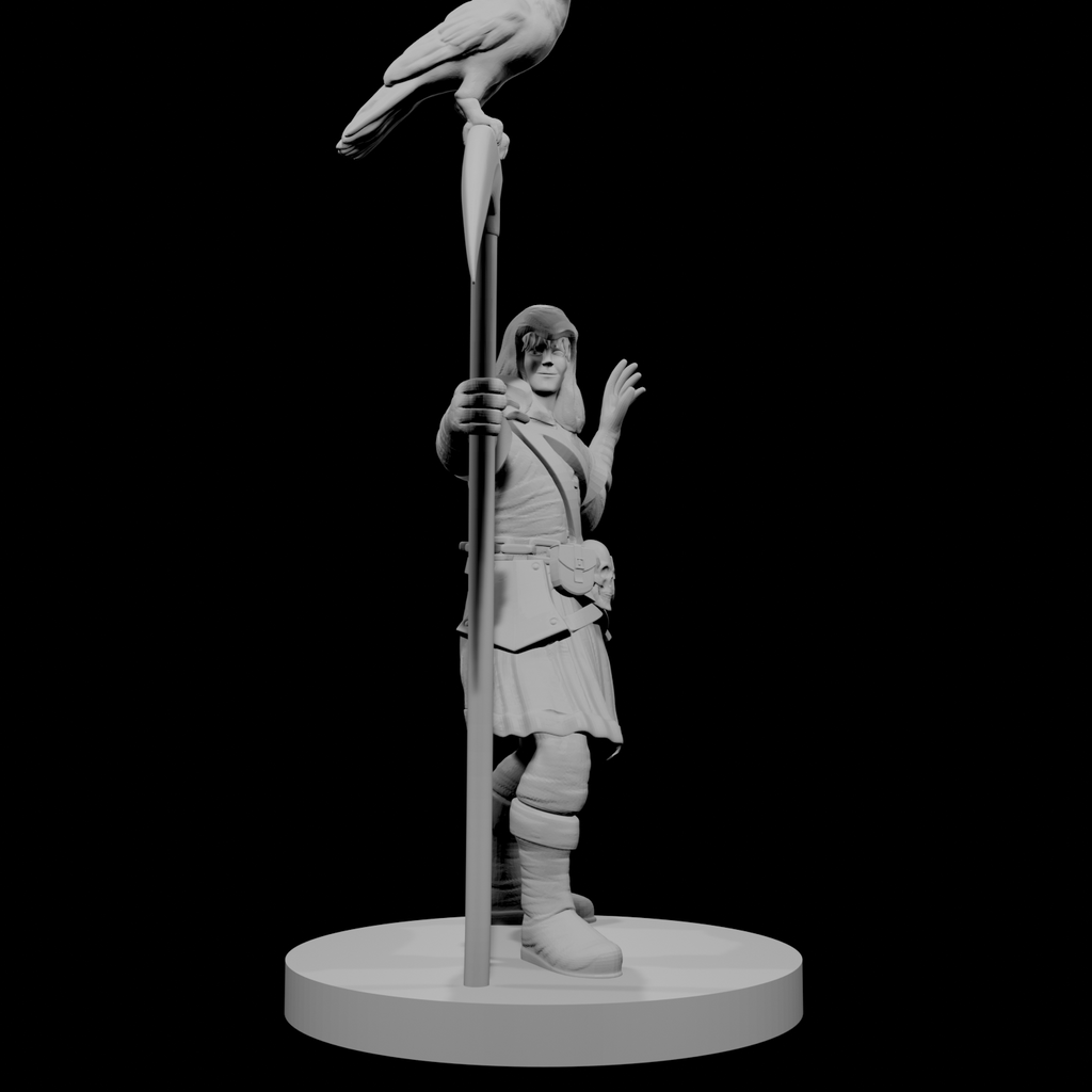 Half Elf Warlock 5