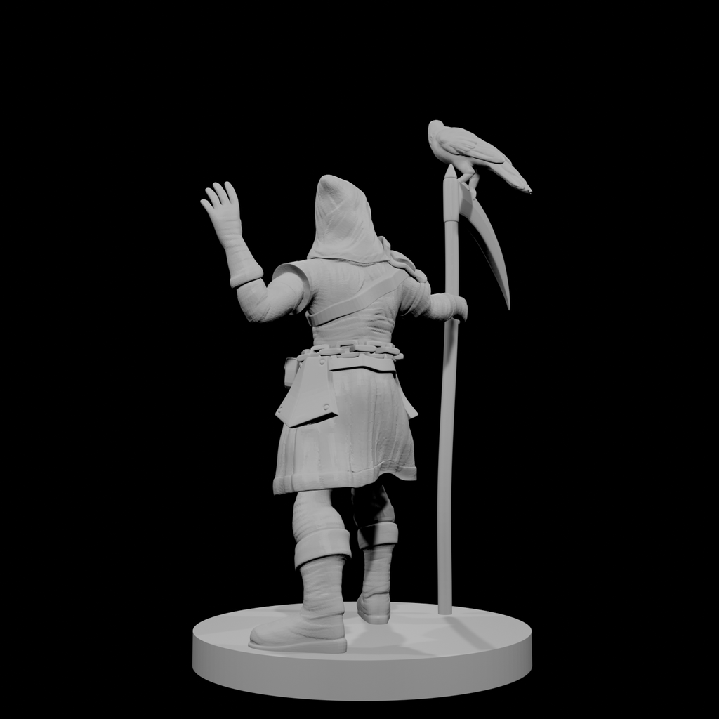 Half Elf Warlock 5