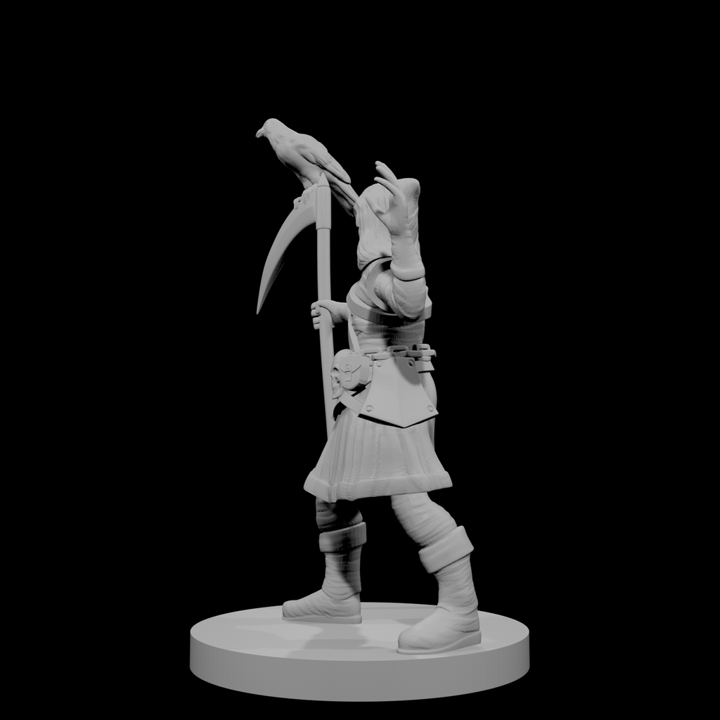 Half Elf Warlock 5