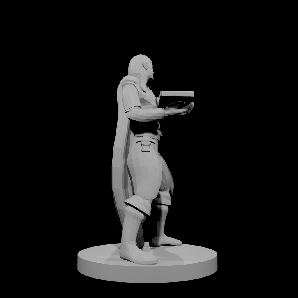 Half Elf Wizard