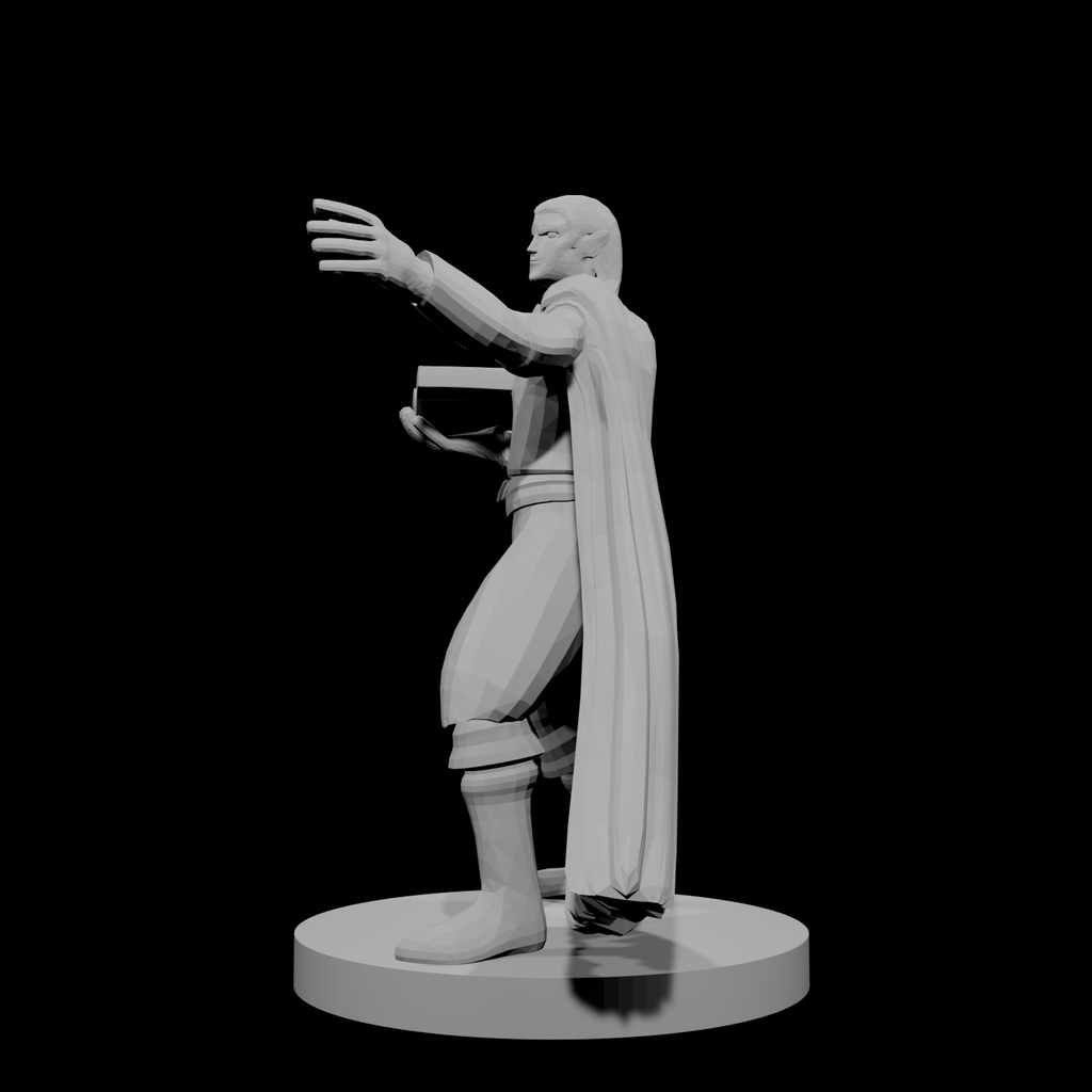 Half Elf Wizard