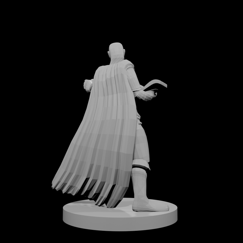 Half Elf Wizard