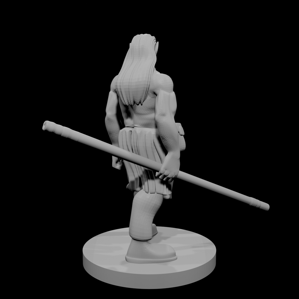 Half Orc Male Monk 2