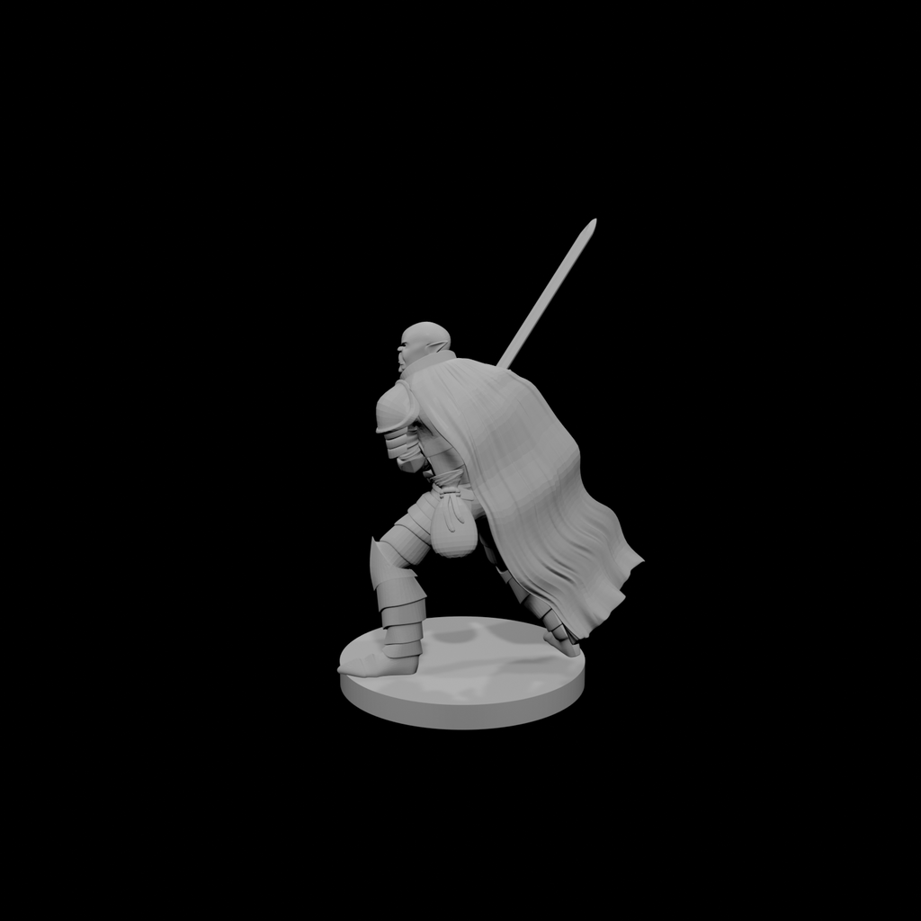 Half Orc Paladin