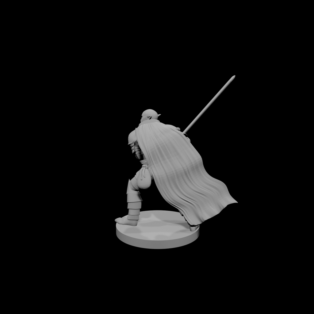 Half Orc Paladin
