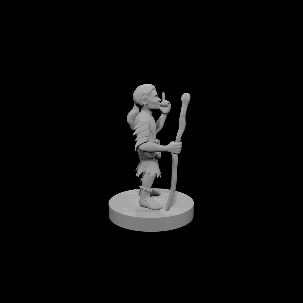 Halfling Male Druid