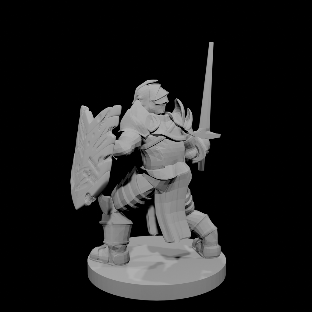 Helm Paladin Fancy Armor Cut up Shield