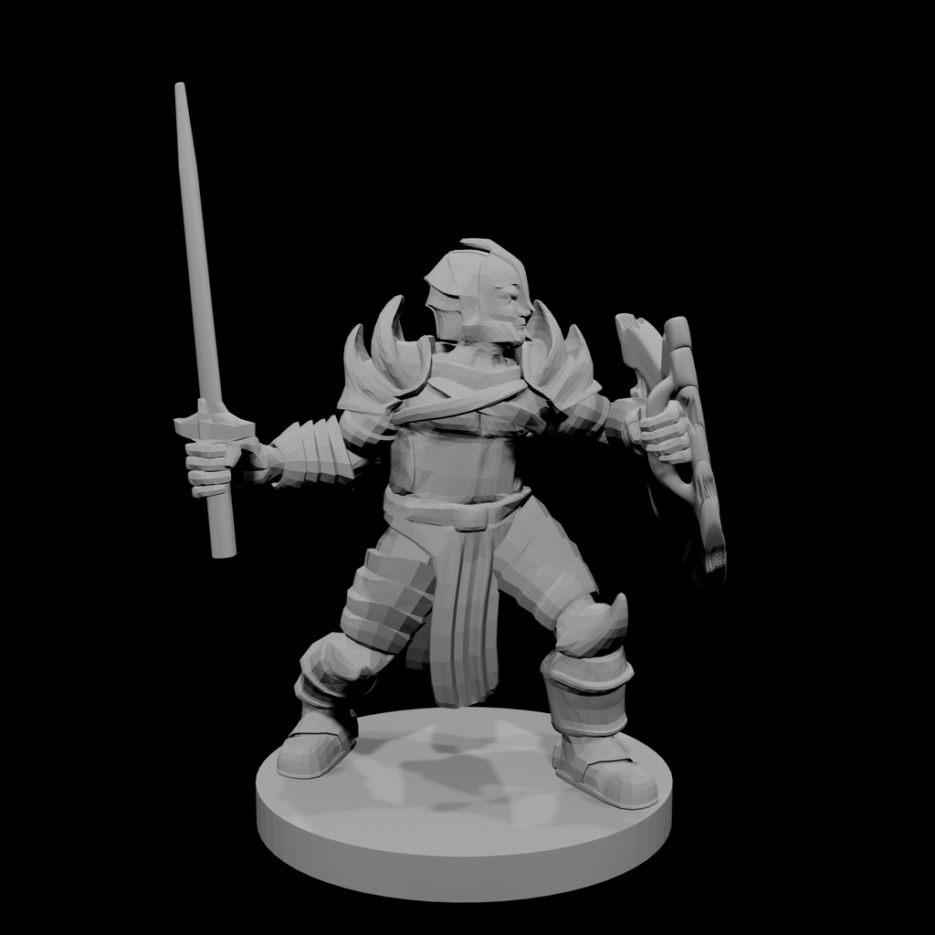 Helm Paladin Fancy Armor Cut up Shield
