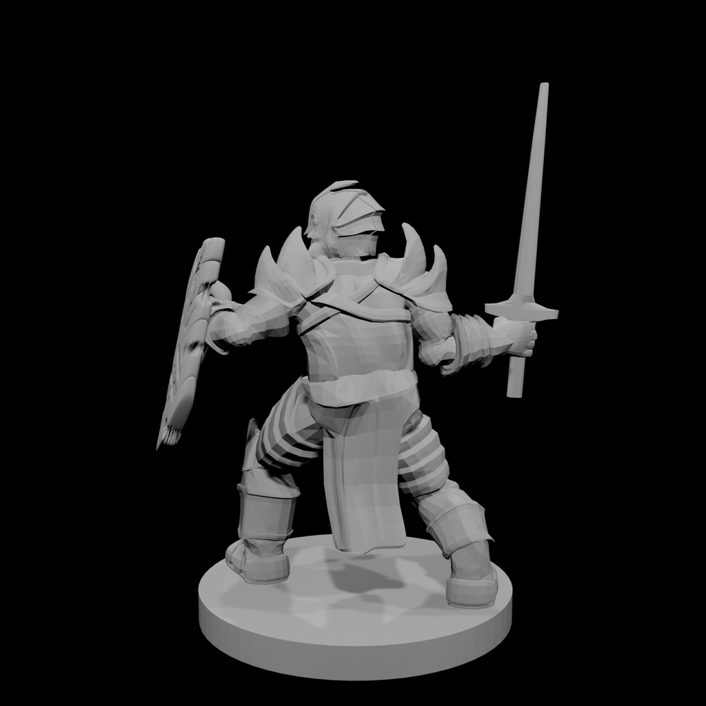 Helm Paladin Fancy Armor Cut up Shield