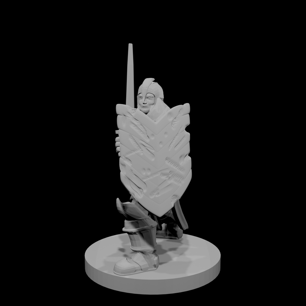 Helm Paladin Fancy Armor Cut up Shield