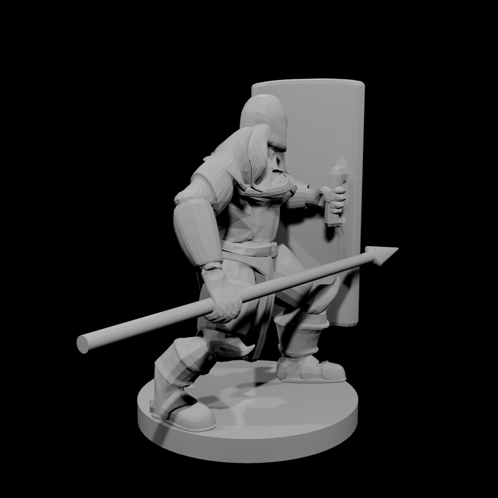 Helm Tower Shield and Spear Paladin