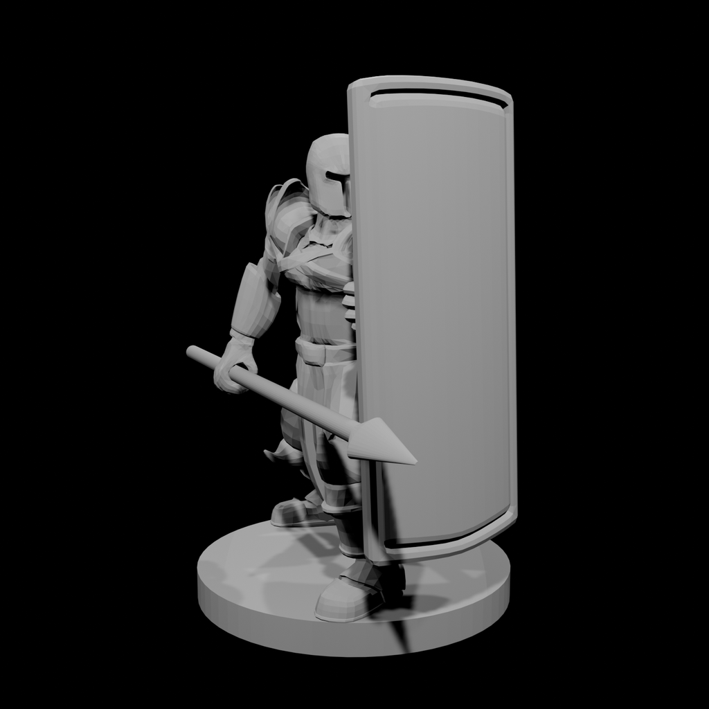 Helm Tower Shield and Spear Paladin