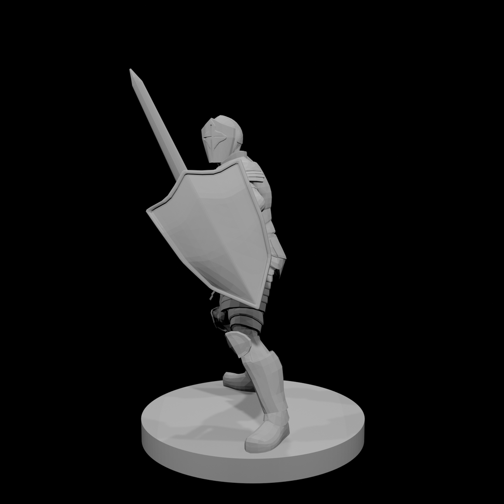Helmed Male Paladin