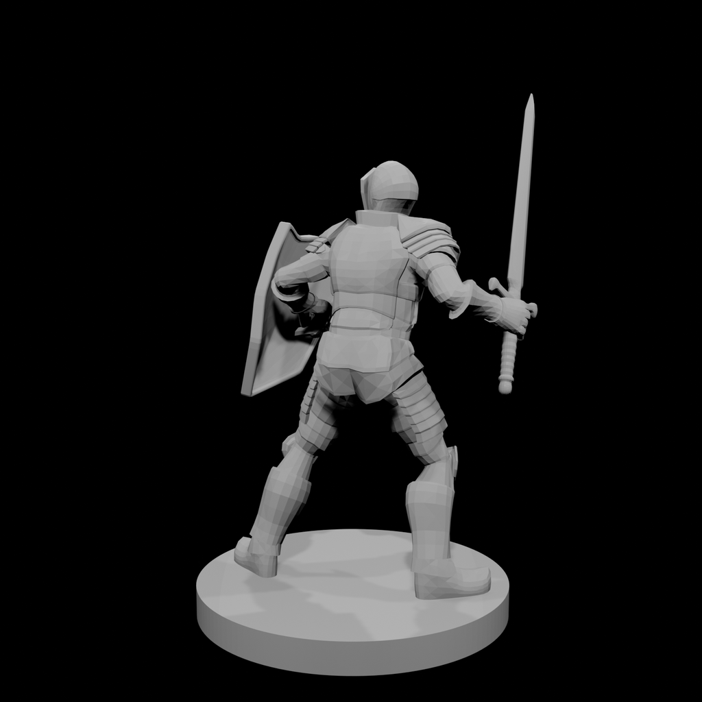 Helmed Male Paladin