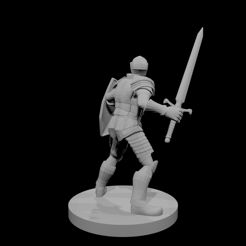 Helmed Male Paladin