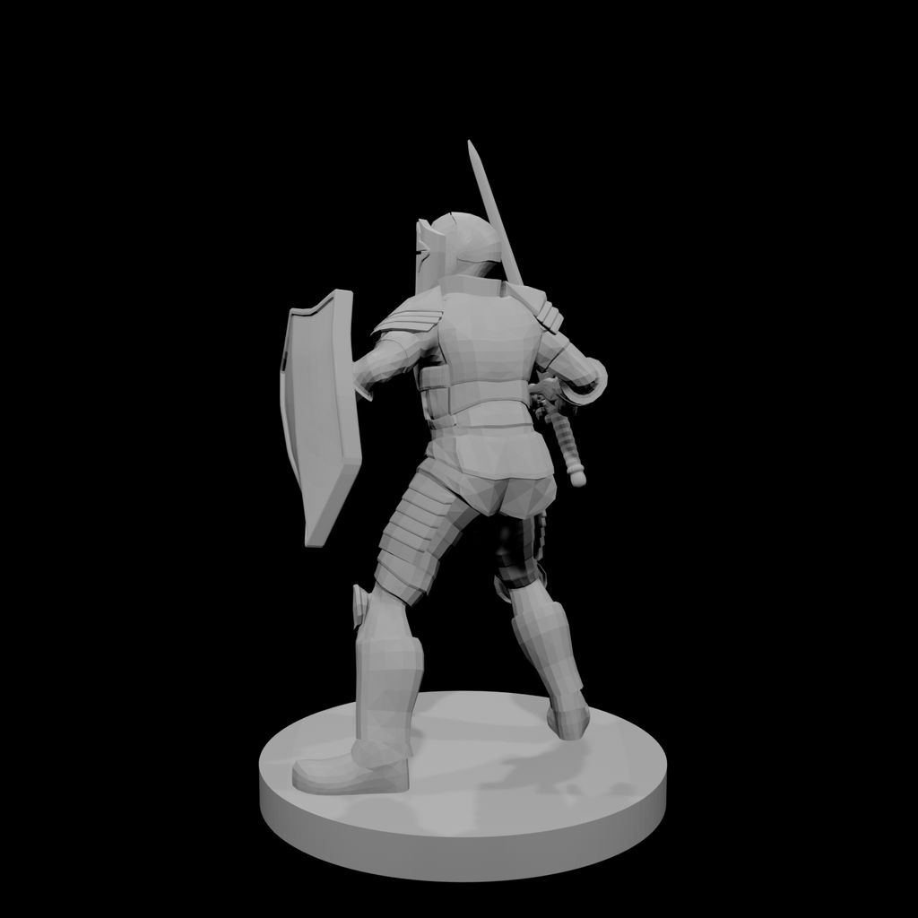 Helmed Male Paladin