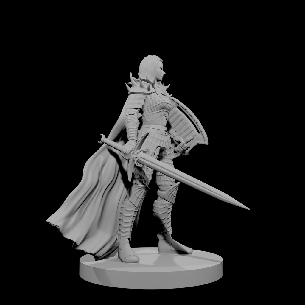Human Female Fallen Paladin