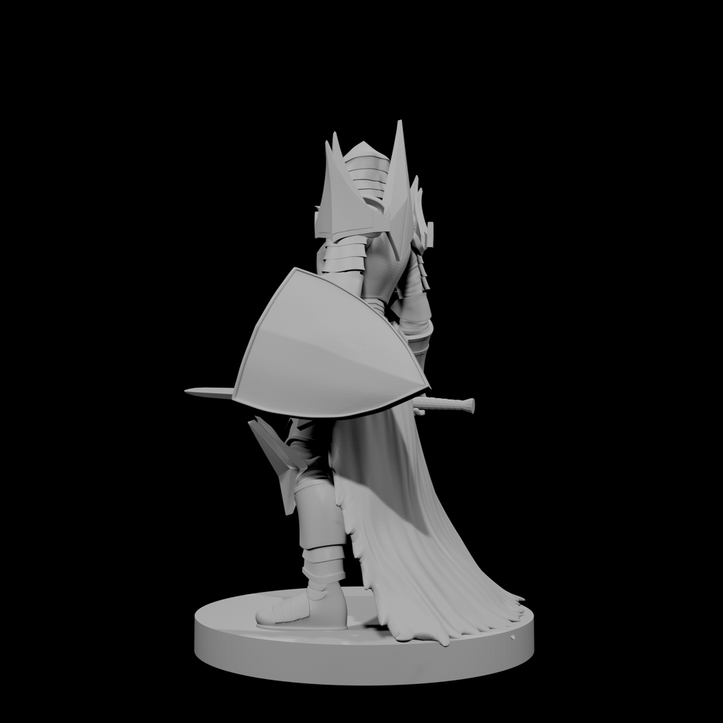 Human Female Paladin 3