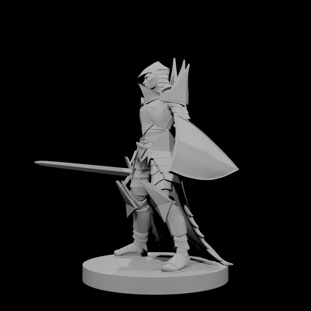 Human Female Paladin 3
