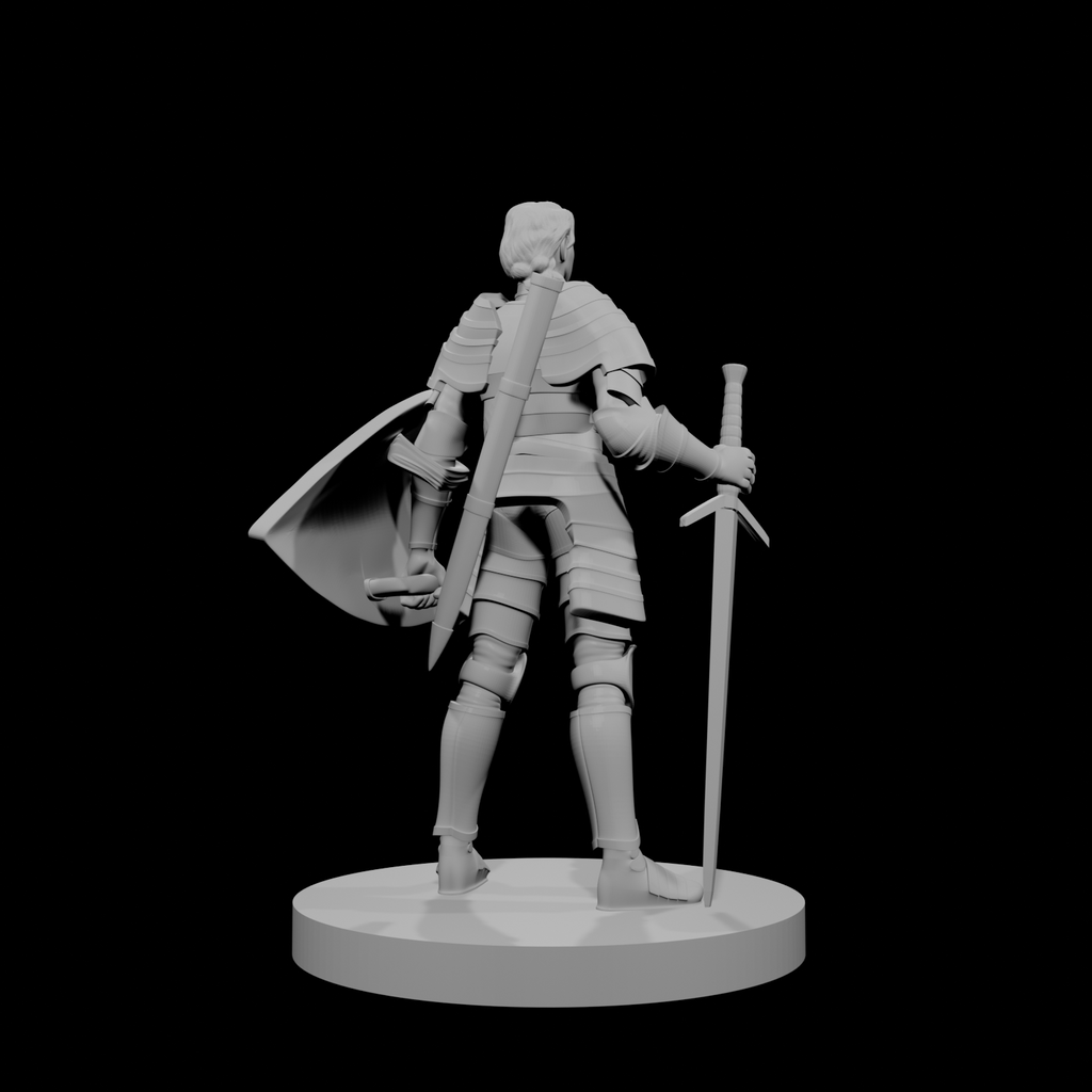 Human Female Paladin 4