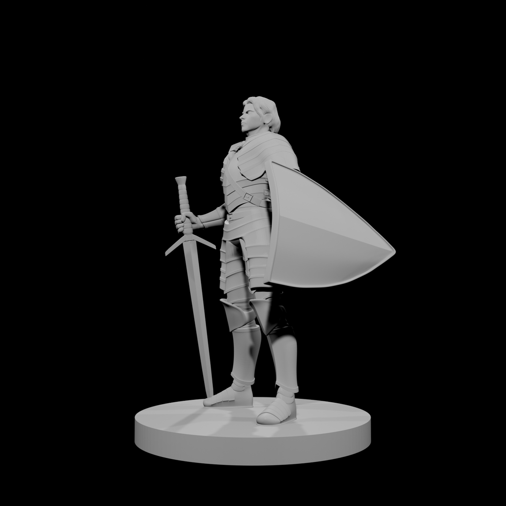 Human Female Paladin 4