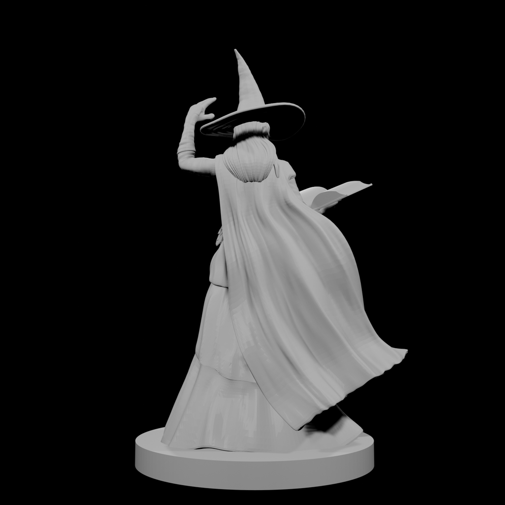 Human Female Wizard with Spellbook