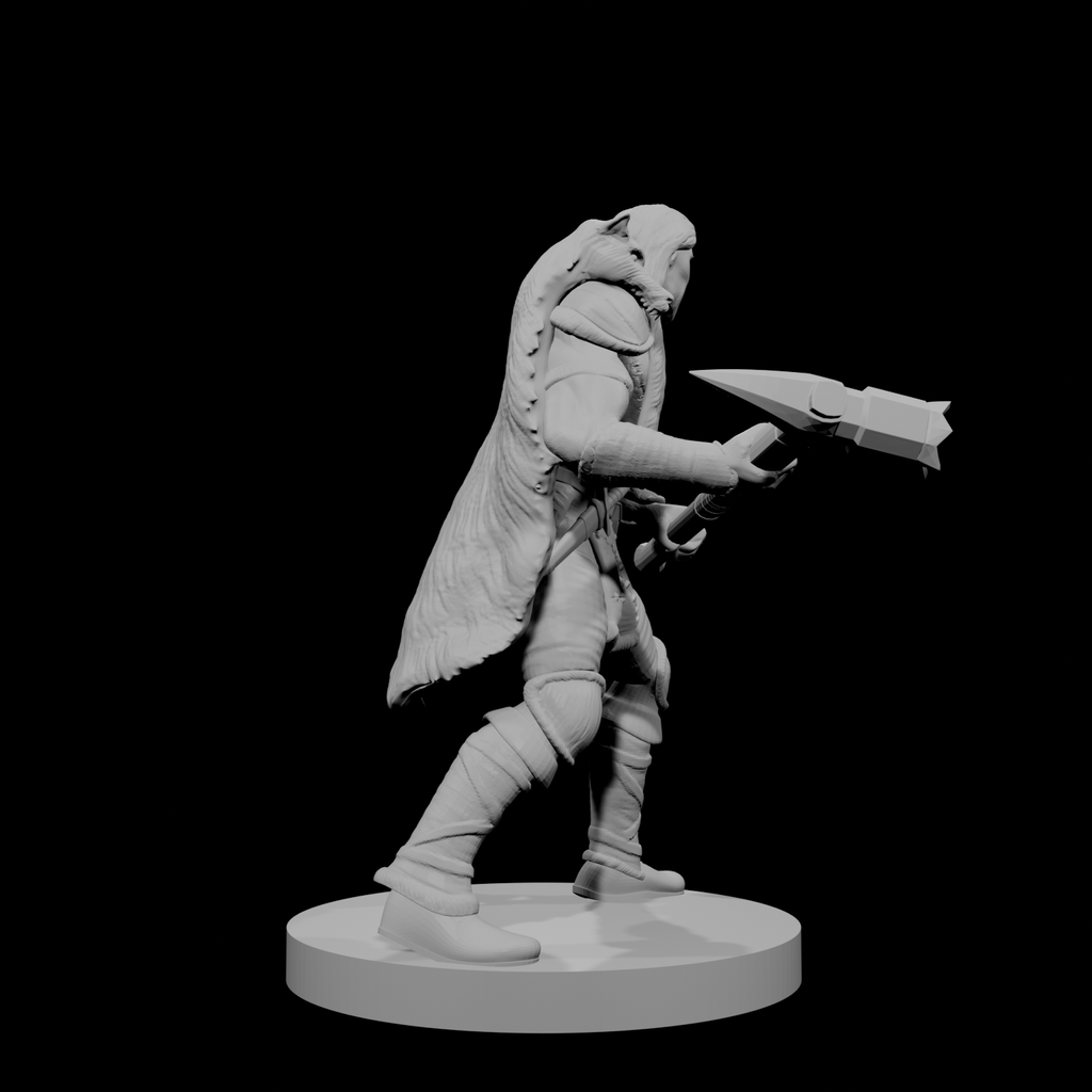 Human Male Barbarian 10
