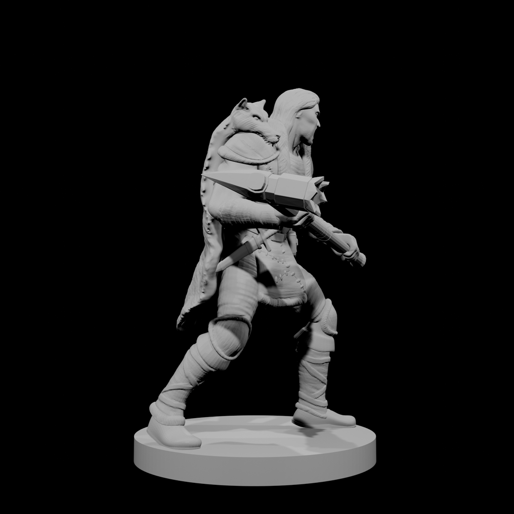 Human Male Barbarian 10