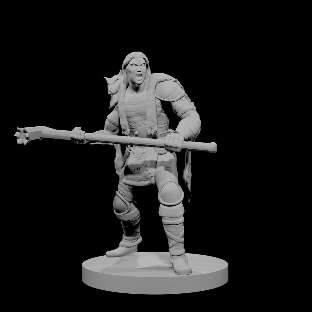 Human Male Barbarian 10