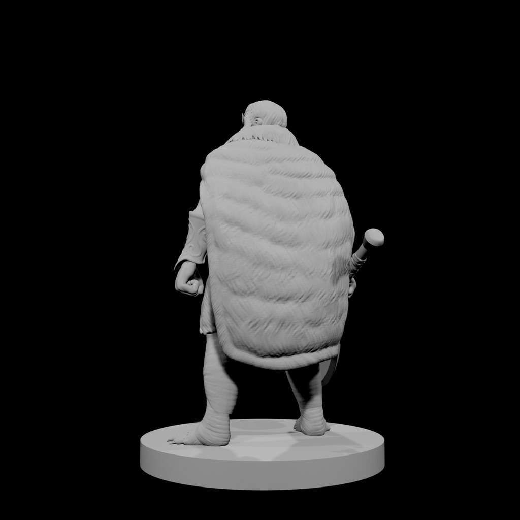 Human Male Barbarian 12