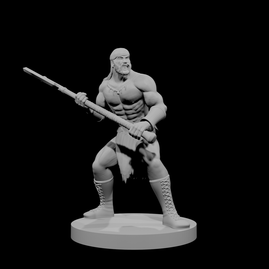 Human Male Barbarian 13