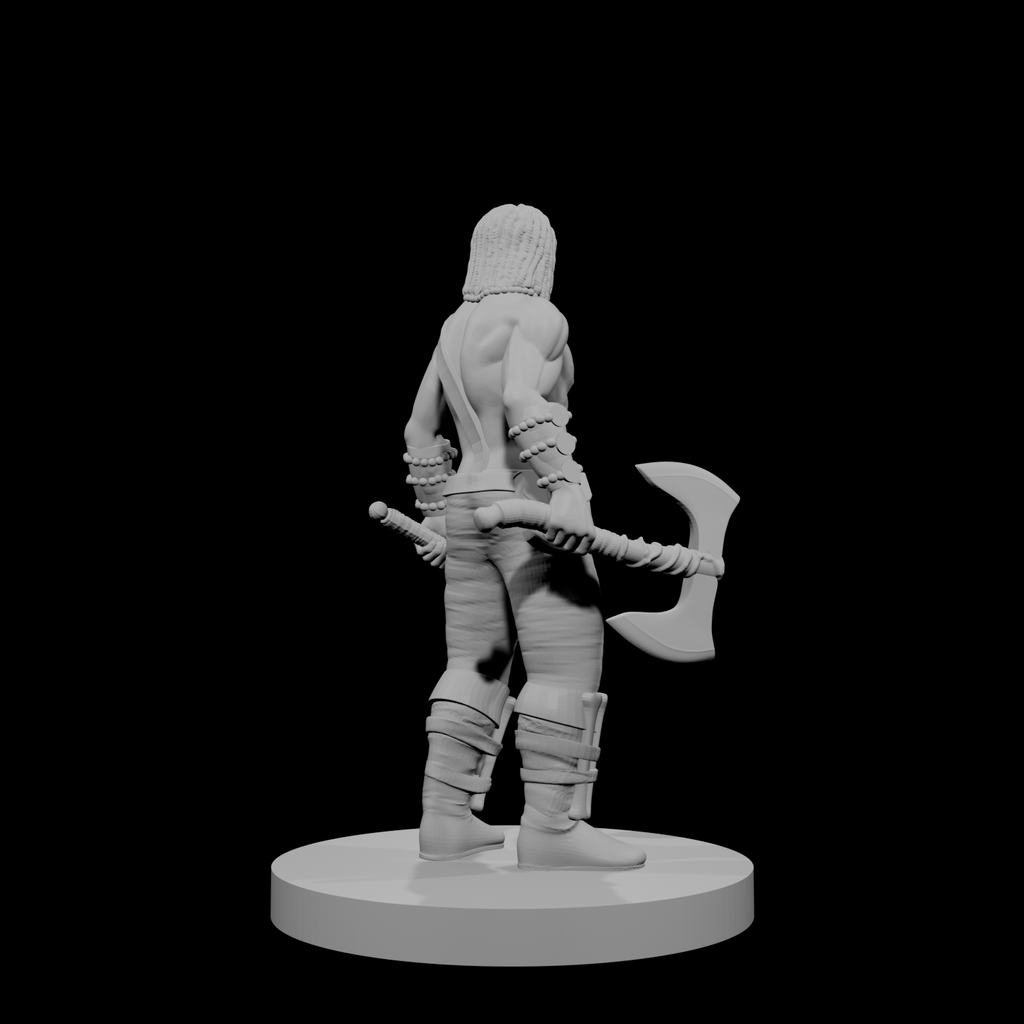 Human Male Barbarian 17