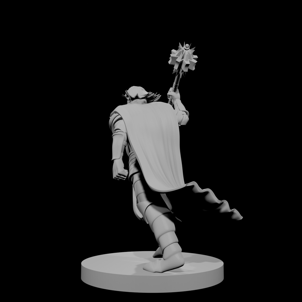 Human Male Cleric Charging