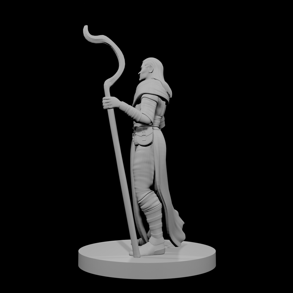 Human Male Druid 1