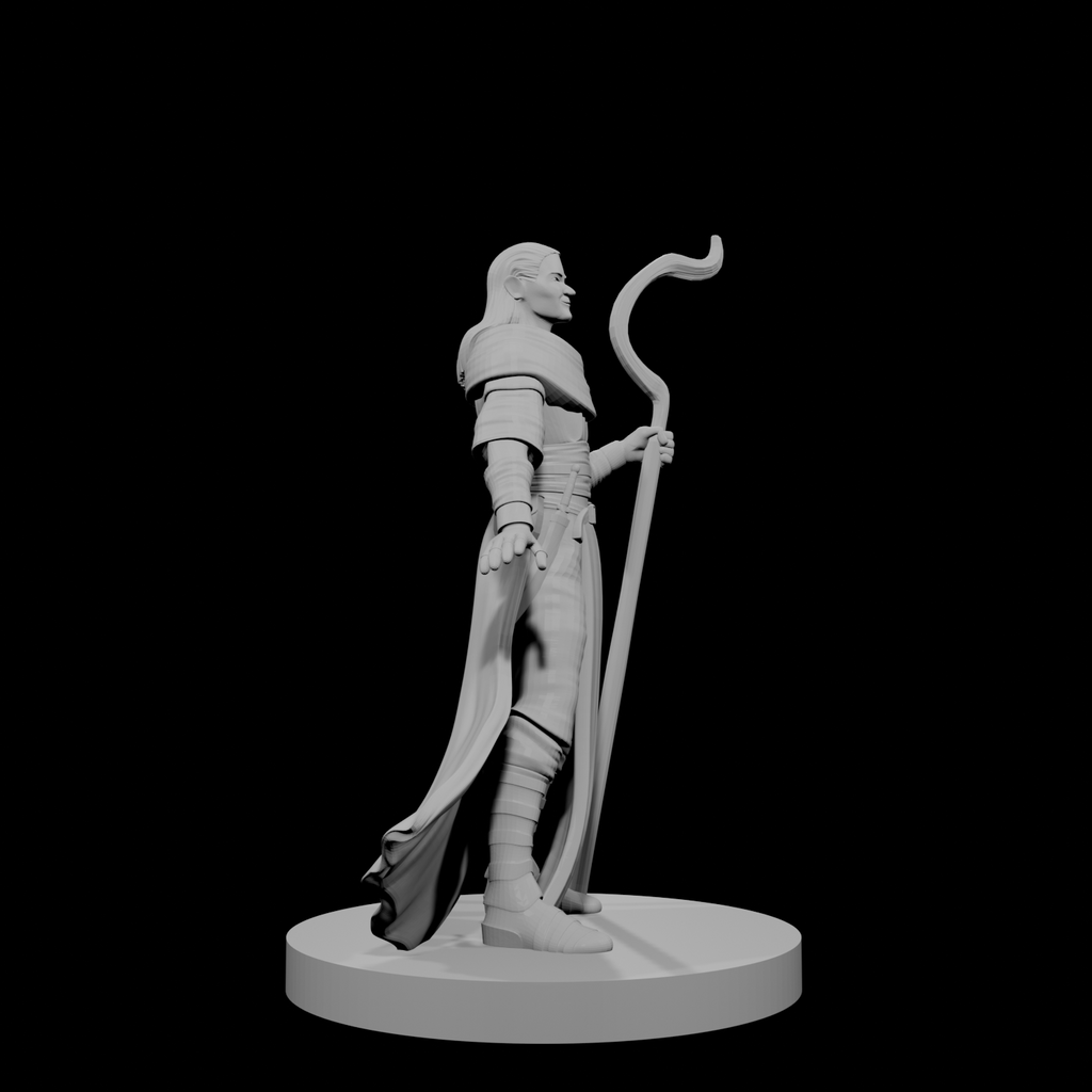 Human Male Druid 1
