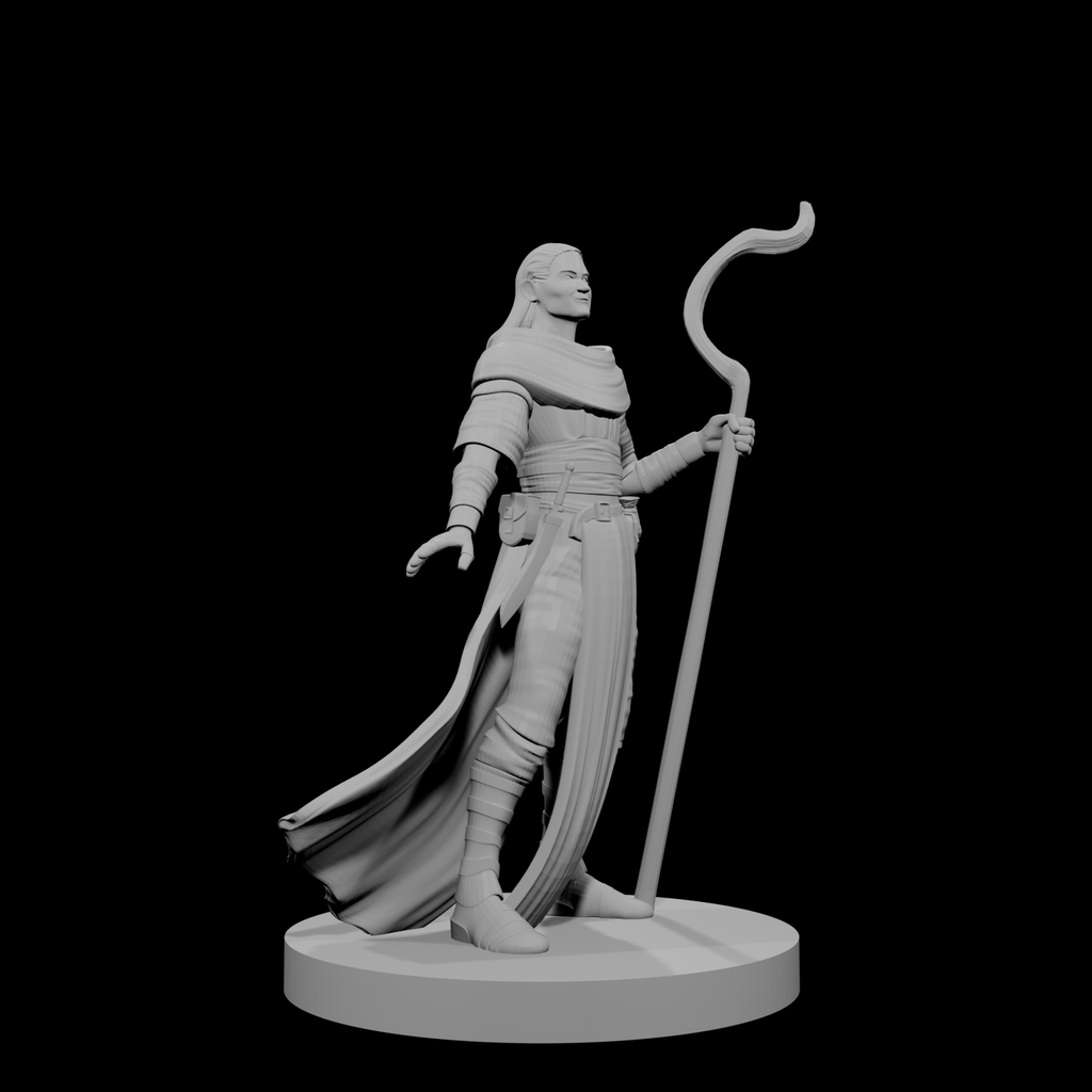 Human Male Druid 1