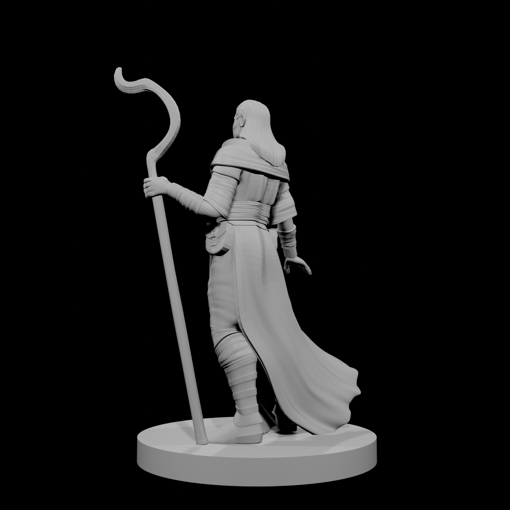Human Male Druid 1