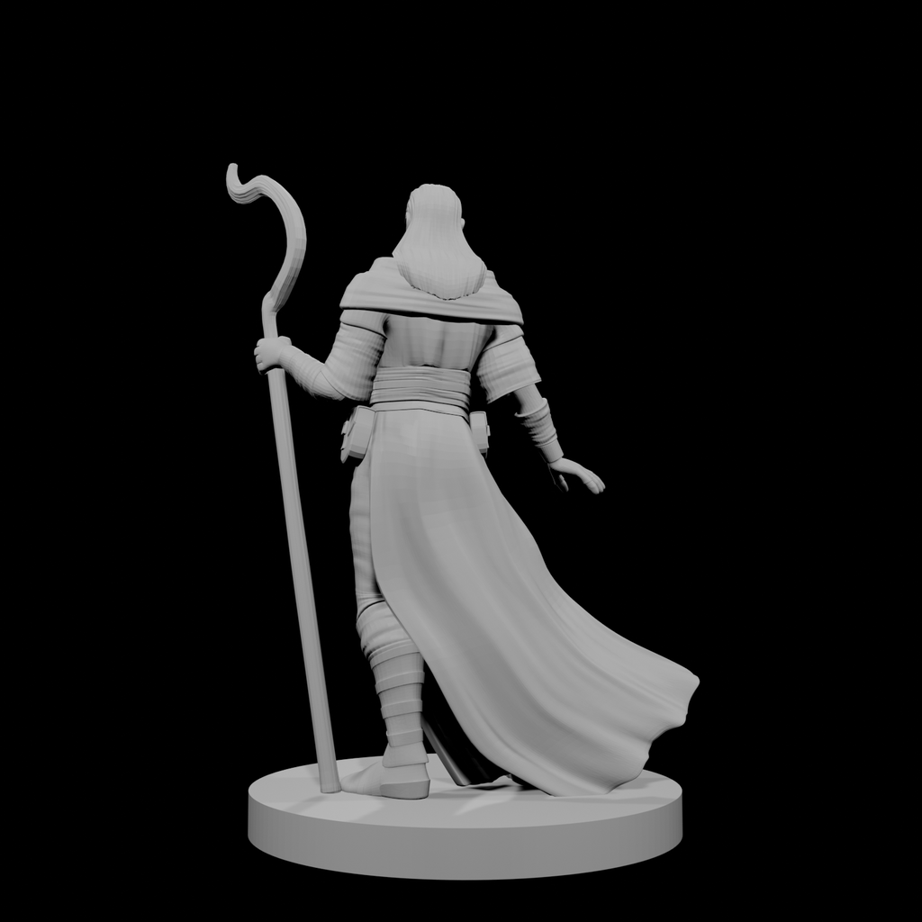 Human Male Druid 1