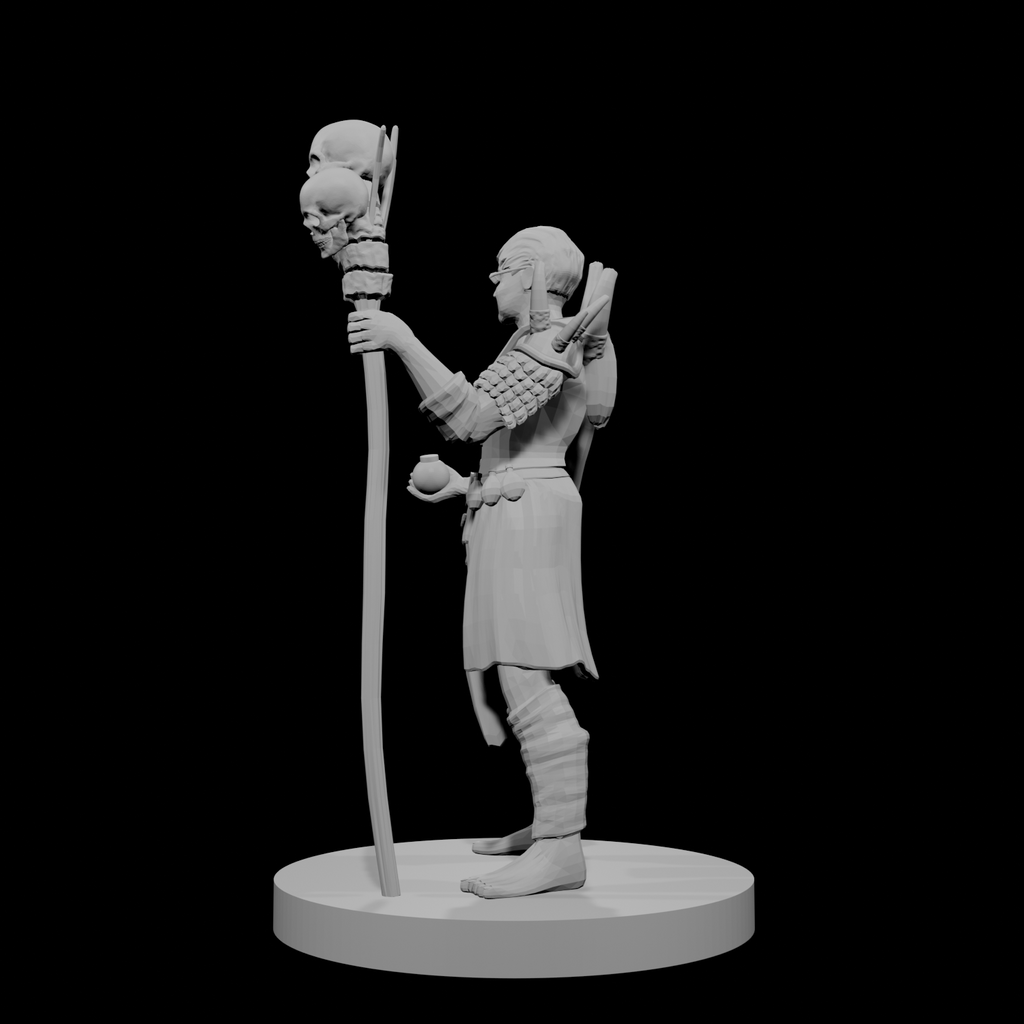 Human Male Druid 2