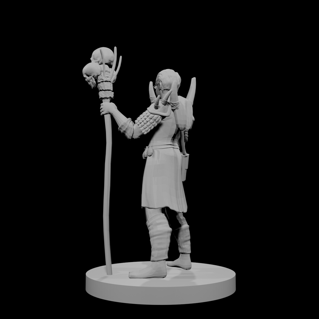 Human Male Druid 2